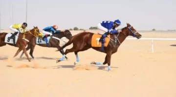 بطل الميادين.. خيال واحد يحصد لقبين في سباقات فروسية الأحساء بنتيجة مذهلة